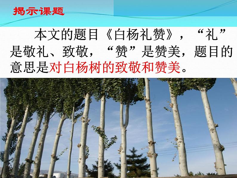 第15课《白杨礼赞》课件（共28张PPT）07