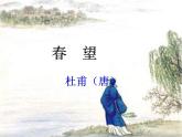 部编版语文八年级上册 第26课《诗词五首——春望》 课件（16张PPT）