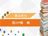 第20课　蝉习题课件（共31张幻灯片）