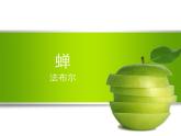 20 蝉 课件（共12张PPT）