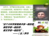 20 蝉 课件（共12张PPT）
