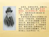 21 蝉课件（22张ppt）