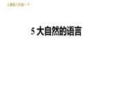 部编版八年级下册语文习题课件 5 大自然的语言 （35张PPT）