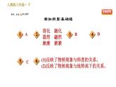 部编版八年级下册语文习题课件 5 大自然的语言 （35张PPT）