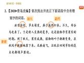 部编版八年级下册语文习题课件 5 大自然的语言 （35张PPT）