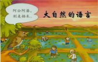 人教部编版八年级下册5 大自然的语言课堂教学课件ppt