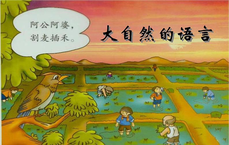 2020—2021学年部编版语文八年级下册第5课《大自然的语言》课件第1页