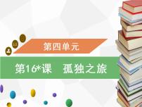 初中语文人教部编版九年级上册17* 孤独之旅习题ppt课件