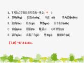 15　《无言之美》练习 课件（13张PPT）