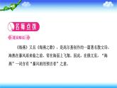 4　海燕 习题课件(共21张PPT)