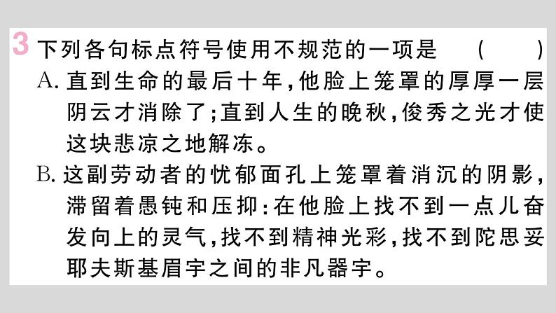 部编版八年级语文上册8.《列夫·托尔斯泰》作业课件  （共30张ppt）06