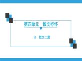 部编版语文八年级上册第4单元  16　散文二篇  习题课件 （共42张PPT）