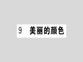 部编版八年级语文上册9.《美丽的颜色》作业课件（共30张ppt）