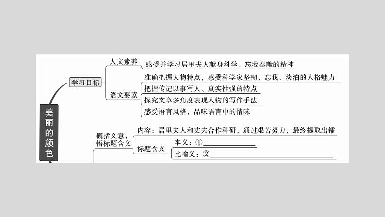 部编版八年级语文上册9.《美丽的颜色》作业课件（共30张ppt）02