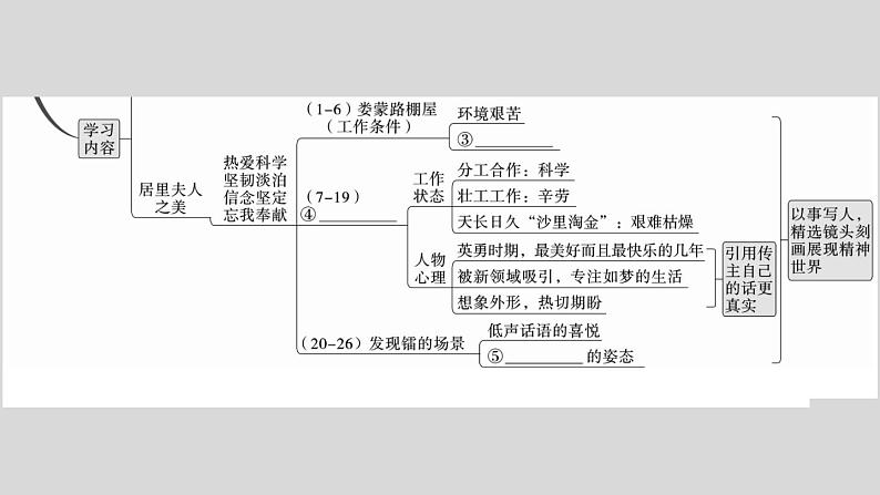 部编版八年级语文上册9.《美丽的颜色》作业课件（共30张ppt）03