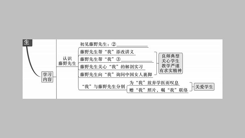 部编版八年级语文上册 6.《藤野先生》作业课件(共34张PPT)03