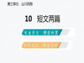 2021-2022学年部编版语文八年级上册11 短文两篇 复习课件（31张PPT）