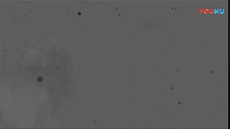 第20课《一滴水经过丽江》课件（共20页）2021-2022学年部编版语文八年级下册第6页