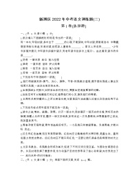 2022年湖北省武汉市新洲区中考语文训练题(三)(word版含答案)