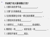 第7课《大雁归来》课件（共19张PPT）2021—2022学年部编版语文八年级下册