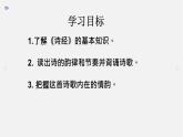 第12课《诗经二首——关雎》课件（共24张PPT）2021—2022学年部编版语文八年级下册