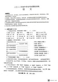 2022年山东省威海市环翠区中考一模语文试题（无答案）