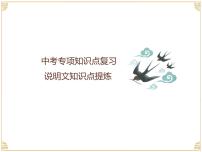 中考专项知识点复习：说明文知识点提炼  课件