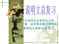 中考语文复习课件---说明文知识点