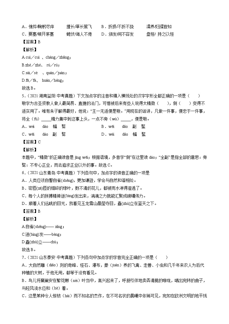 2021年中考语文真题分类汇编（语言基础知识）-字音篇（解析版）第2页