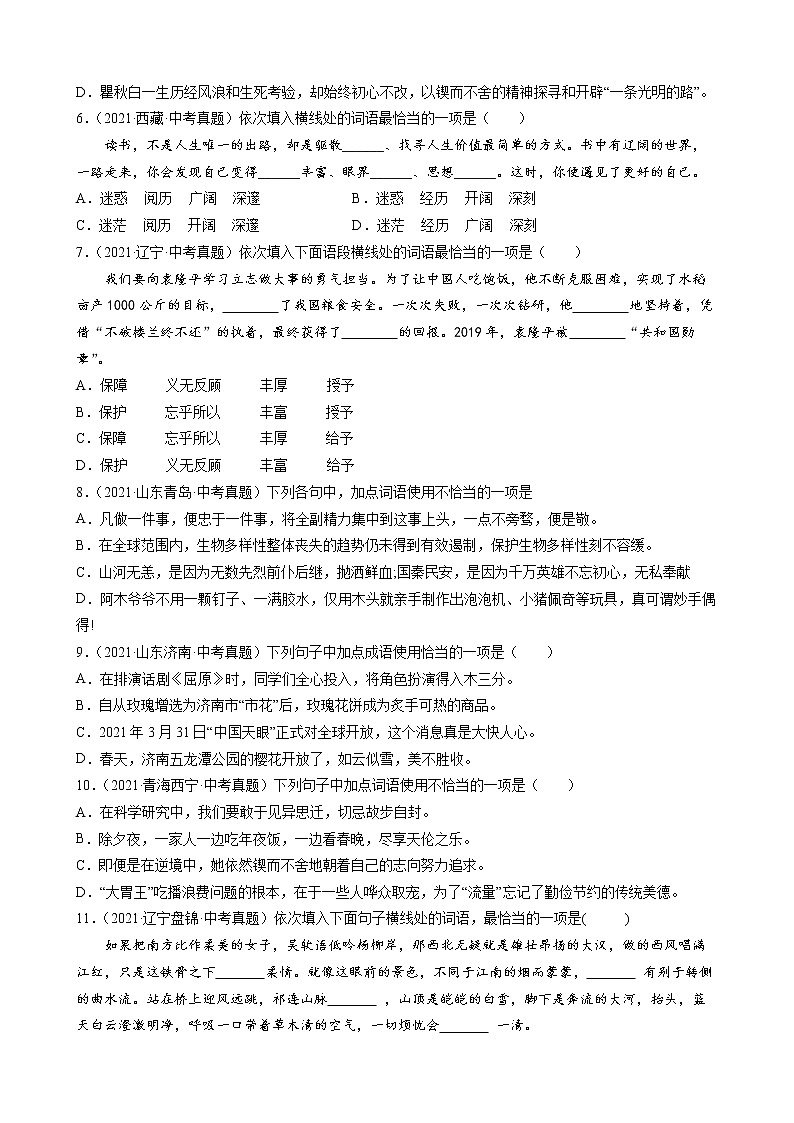 2021年中考语文真题分类汇编（语言基础知识）-词语_成语①（原卷版）第2页