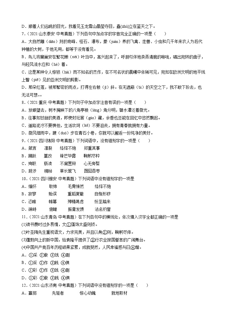 2021年中考语文真题分类汇编（语言基础知识）-字形（原卷版）第2页