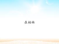 语文六年级上册（2018）15* 在柏林多媒体教学课件ppt