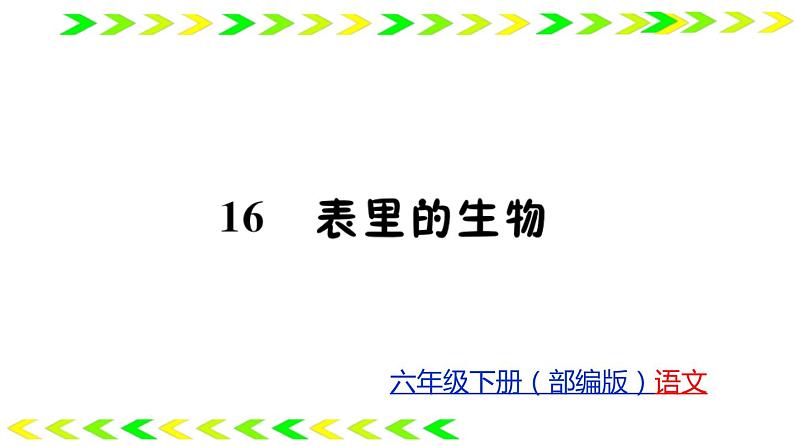 16 表里的生物   训练课件（24张）01