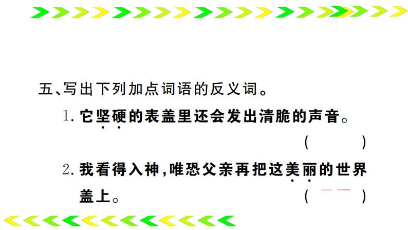 16 表里的生物   训练课件（24张）06