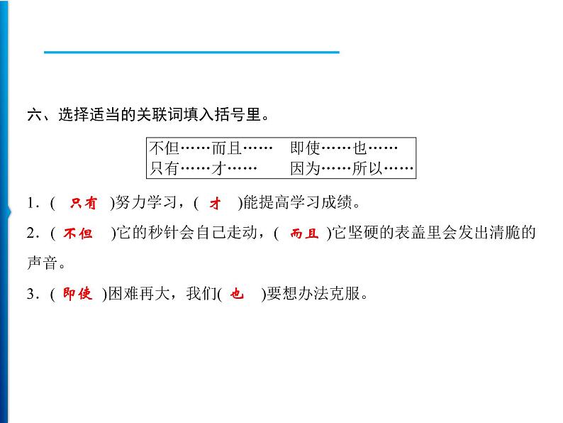 16 表里的生物  习题课件（15张）07