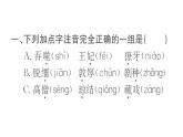 4 藏戏  训练课件（19张）
