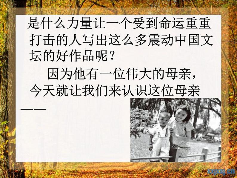 册第5课《秋天的怀念》课件05