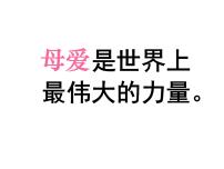 人教部编版七年级上册5 秋天的怀念授课课件ppt