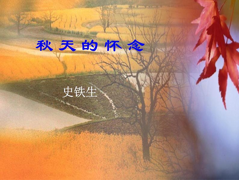 部编版七年级上册语文 5  秋天的怀念课件+教案+练习+音频03