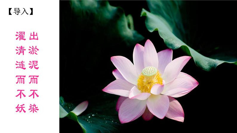 人教部编版七下语文《紫藤萝瀑布》课件01