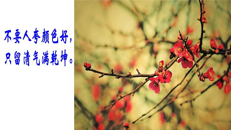 人教部编版七下语文《紫藤萝瀑布》课件03