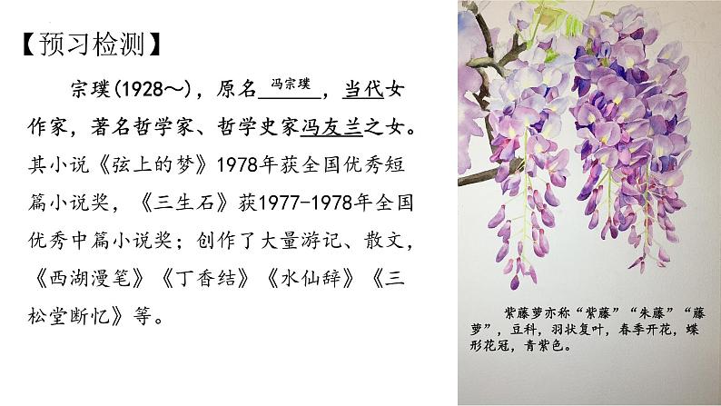 人教部编版七下语文《紫藤萝瀑布》课件07