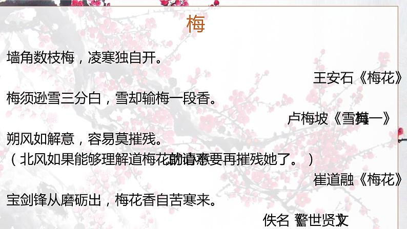 人教部编版八年级语文下册《卜算子·咏梅》课件02