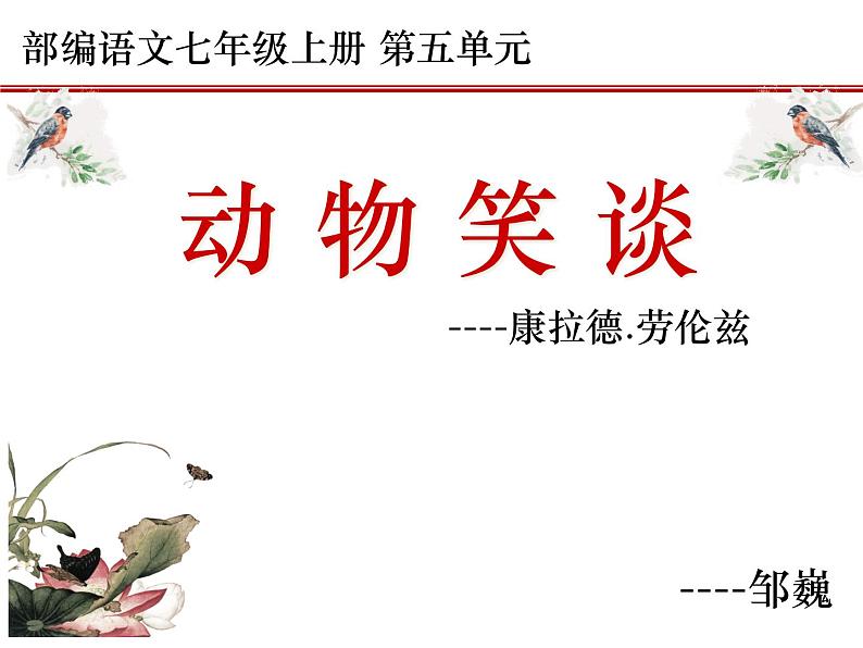 17动物笑谈课件01