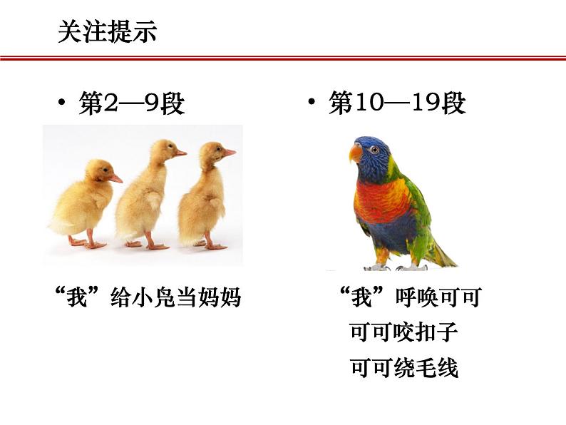 17动物笑谈课件04