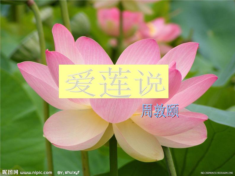 第17课《爱莲说》课件2021-2022学年部编版语文七年级下册第1页
