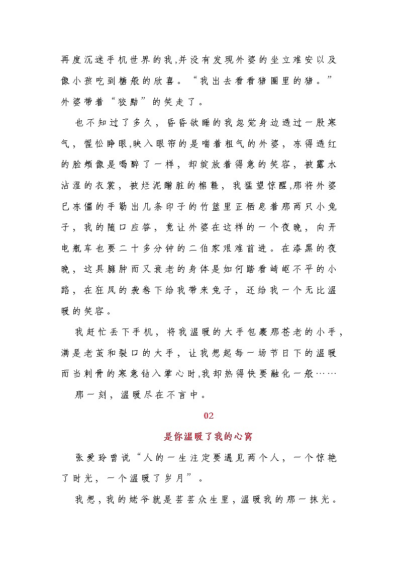 2022中考必备作文（二十二）温暖类第2页