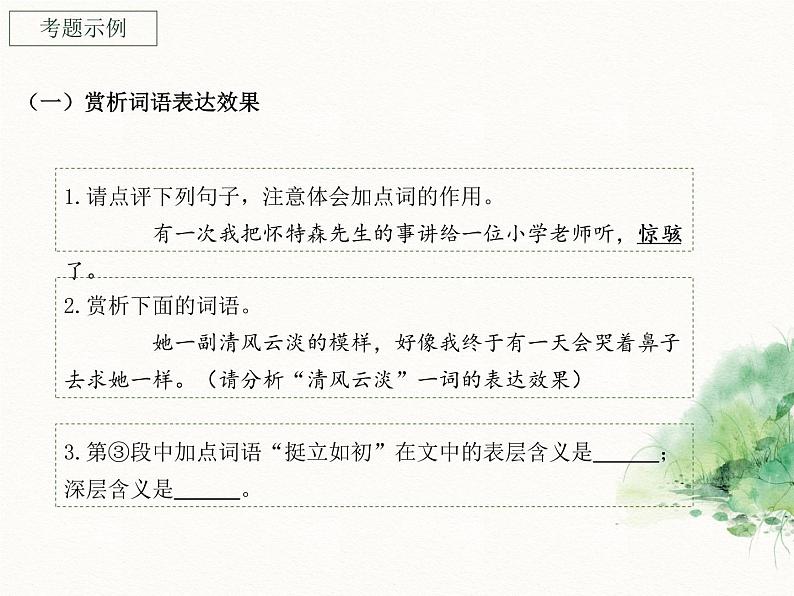 中考专项知识点复习：三大赏析类题型综合讲解   课件04