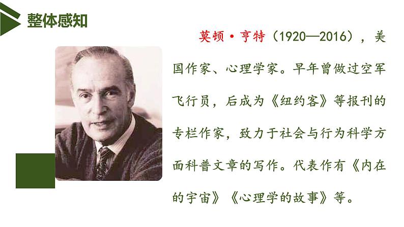 部编版语文《走一步再走一步》PPT课件第4页