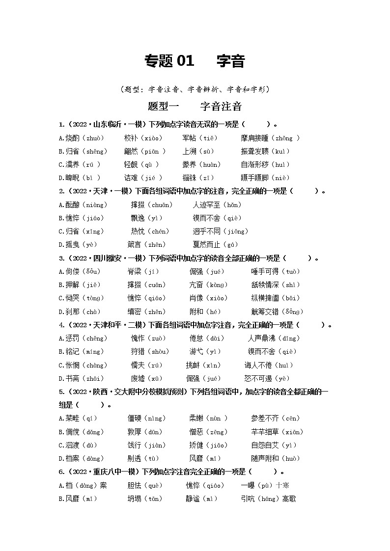 专题01   字音（原卷版）第1页